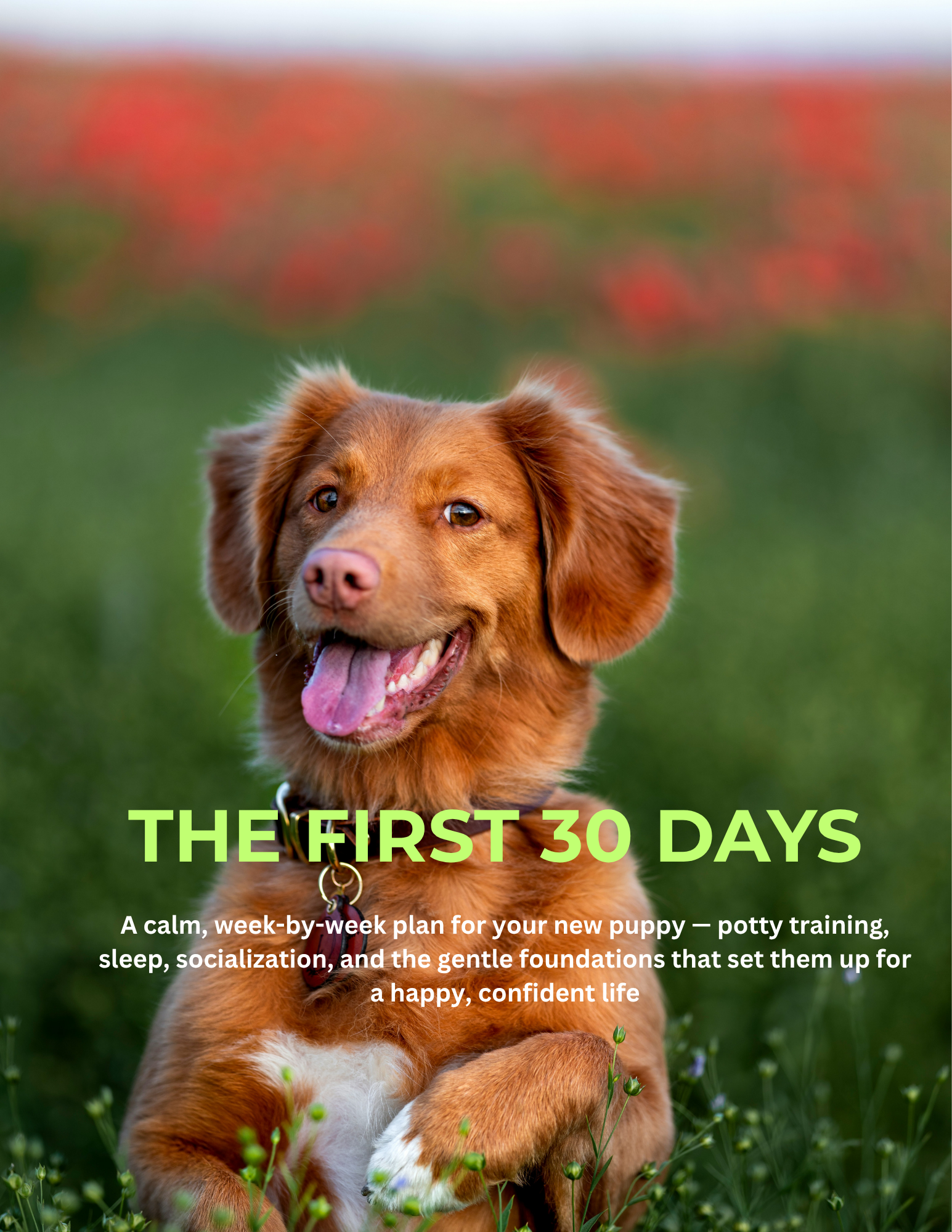 The First 30 Days