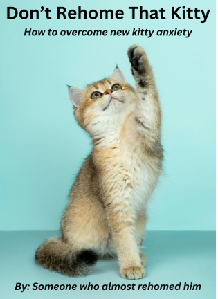 HOW TO OVERCOME NEW KITTY ANXIETY